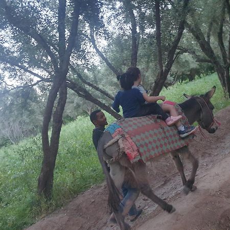 Gite Kasbah La Palmeraie سكورة المظهر الخارجي الصورة