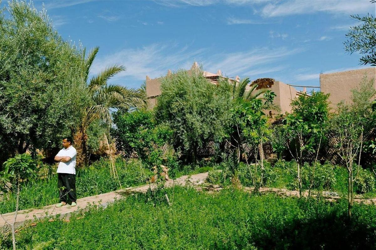 Gite Kasbah La Palmeraie سكورة المظهر الخارجي الصورة