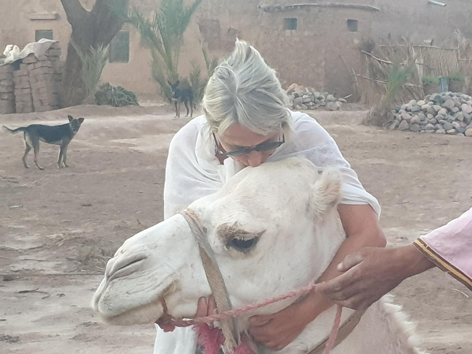 Gite Kasbah La Palmeraie سكورة المظهر الخارجي الصورة