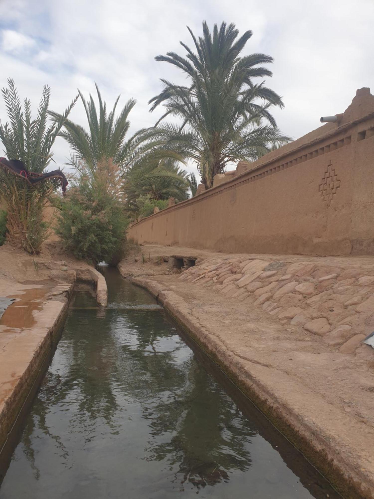 Gite Kasbah La Palmeraie سكورة المظهر الخارجي الصورة