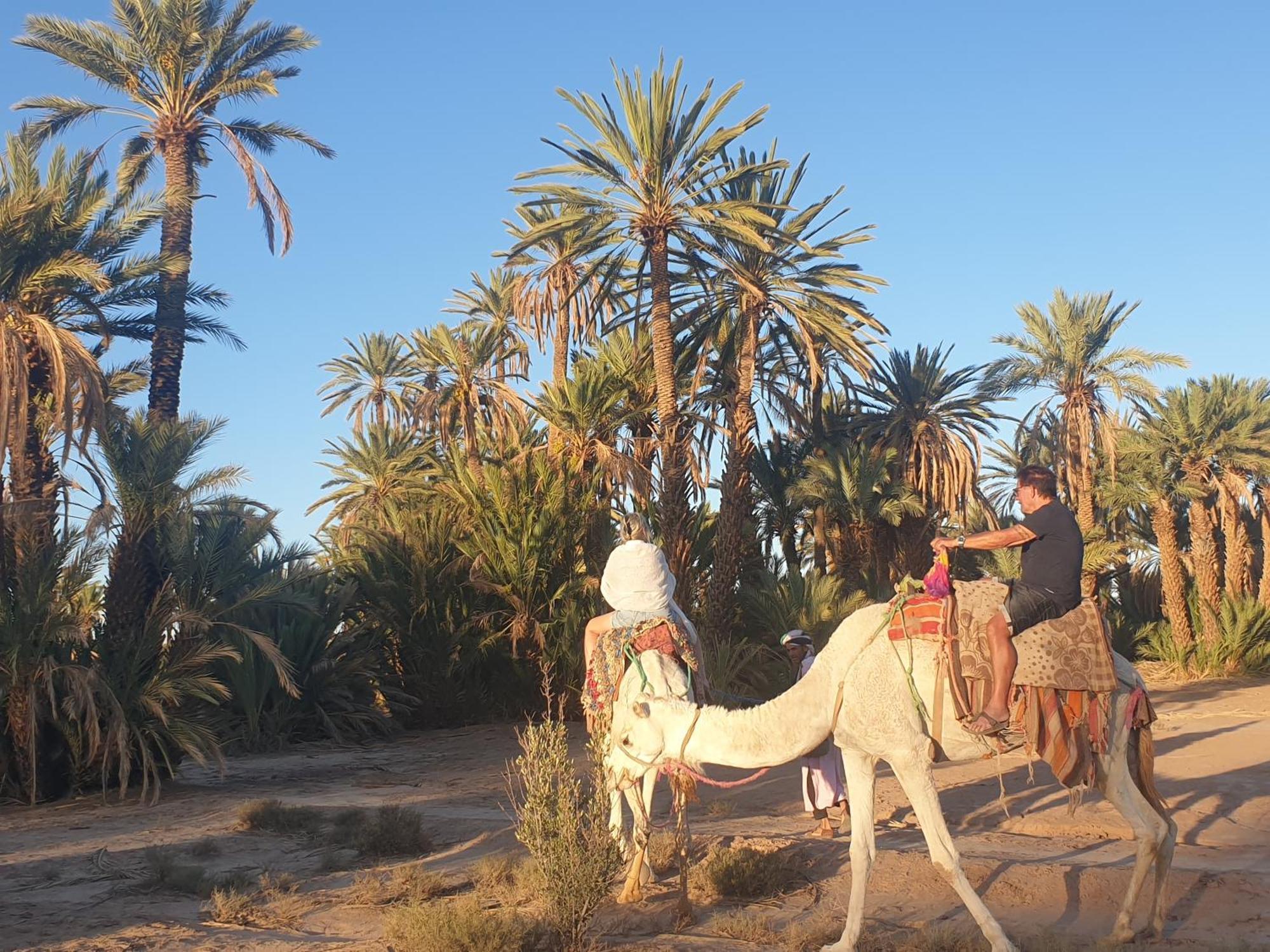 Gite Kasbah La Palmeraie سكورة المظهر الخارجي الصورة