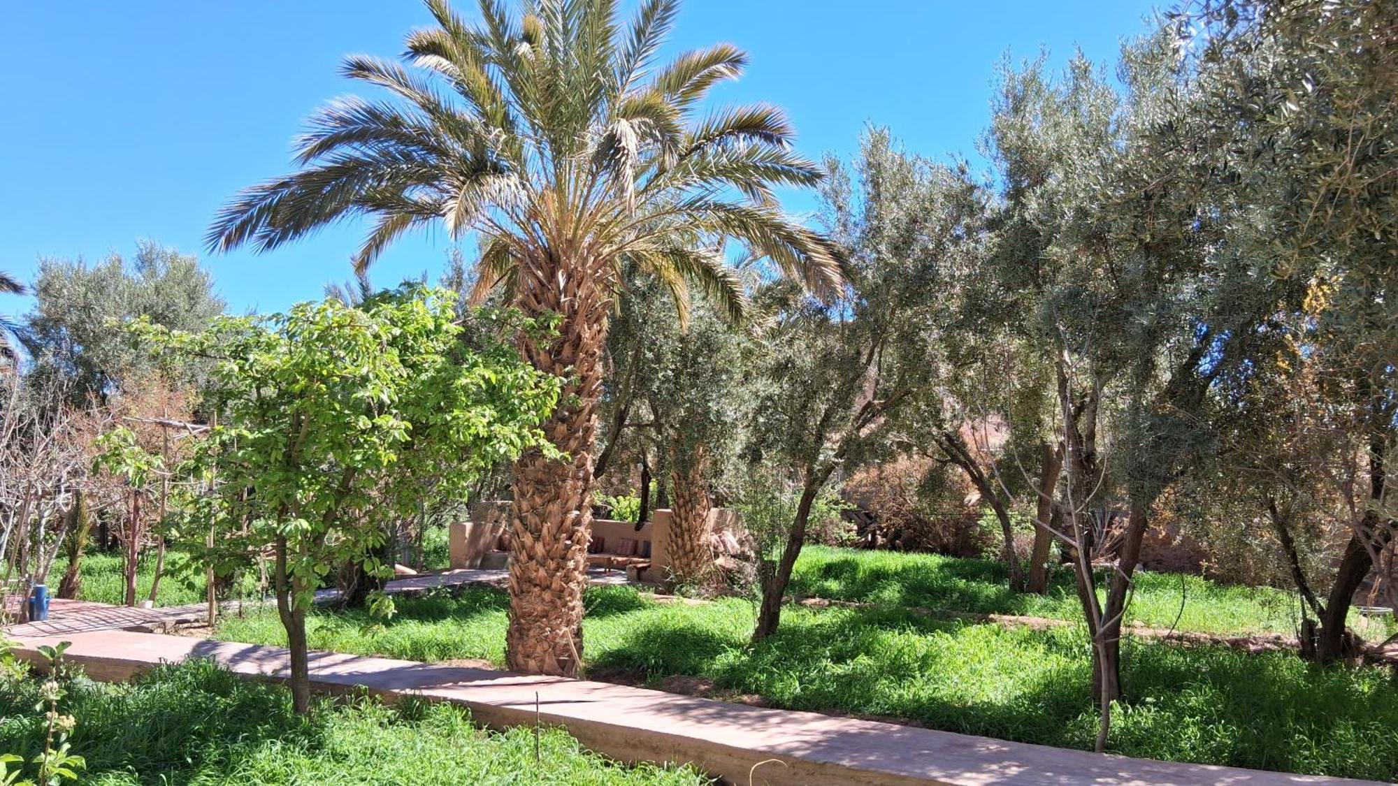 Gite Kasbah La Palmeraie سكورة المظهر الخارجي الصورة