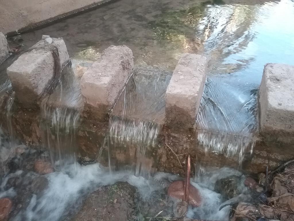 Gite Kasbah La Palmeraie سكورة المظهر الخارجي الصورة