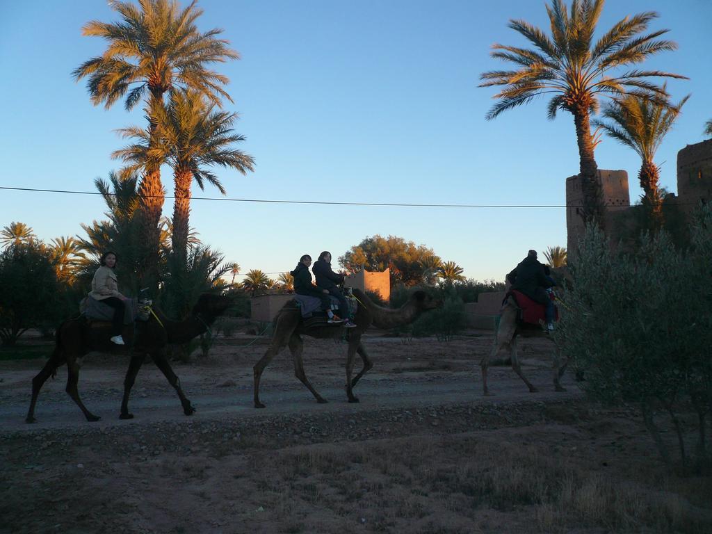 Gite Kasbah La Palmeraie سكورة المظهر الخارجي الصورة