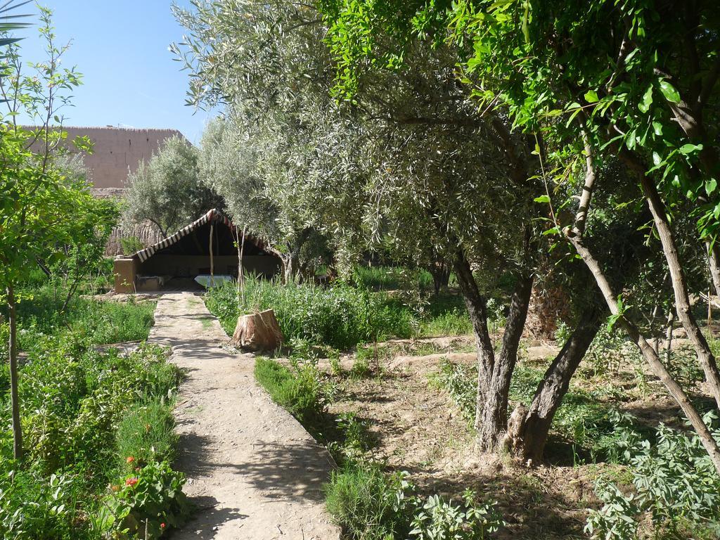 Gite Kasbah La Palmeraie سكورة المظهر الخارجي الصورة