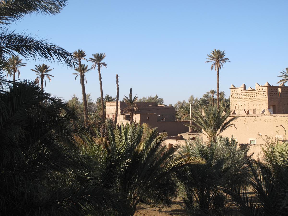 Gite Kasbah La Palmeraie سكورة المظهر الخارجي الصورة